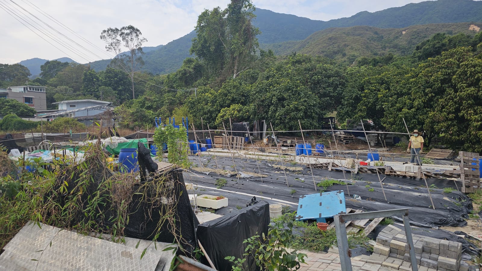 合作環保有機農場教育